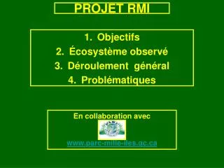 projet rmi
