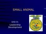 SMALL ANIMAL - slide 1