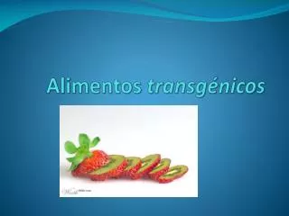 alimentos transg nicos