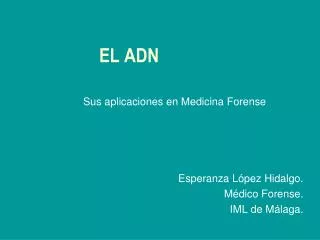 el adn