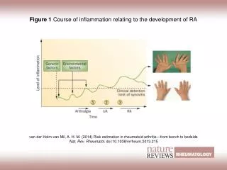 Figure 1 Course of inflammation relating to the development of RA