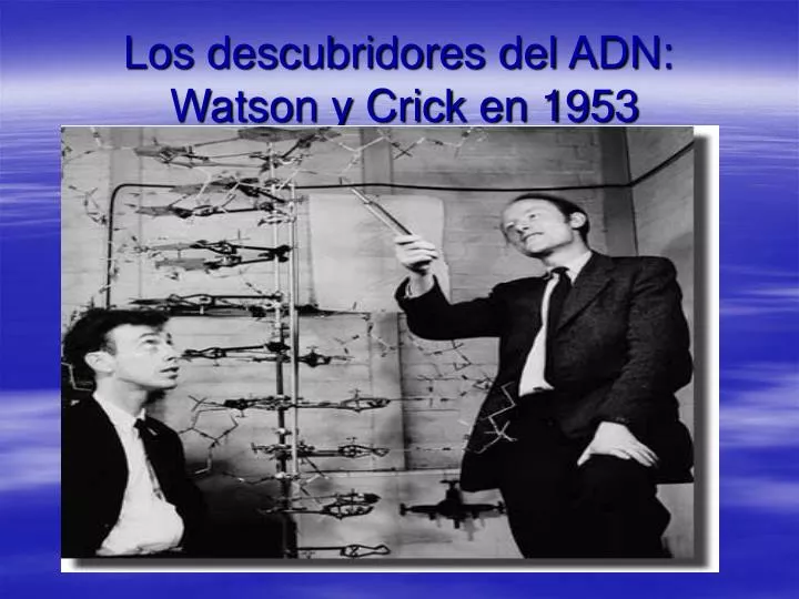 los descubridores del adn watson y crick en 1953