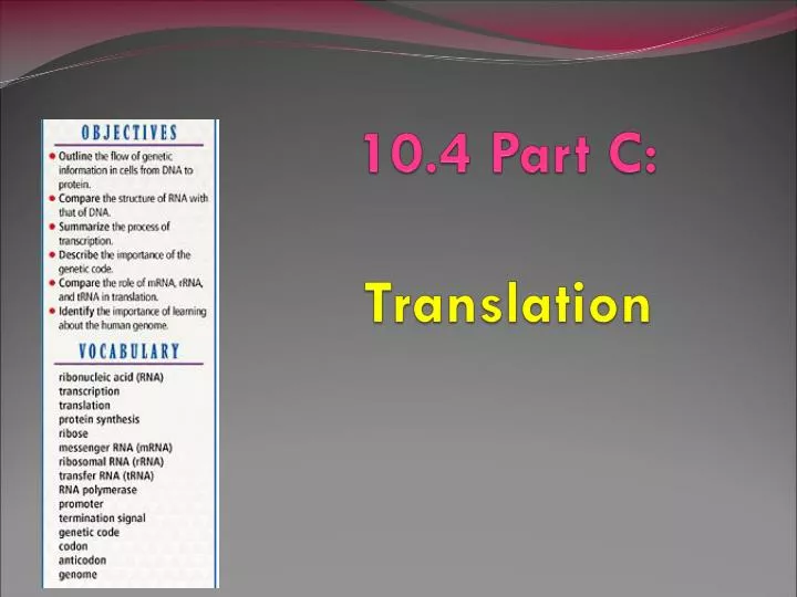 10 4 part c translation