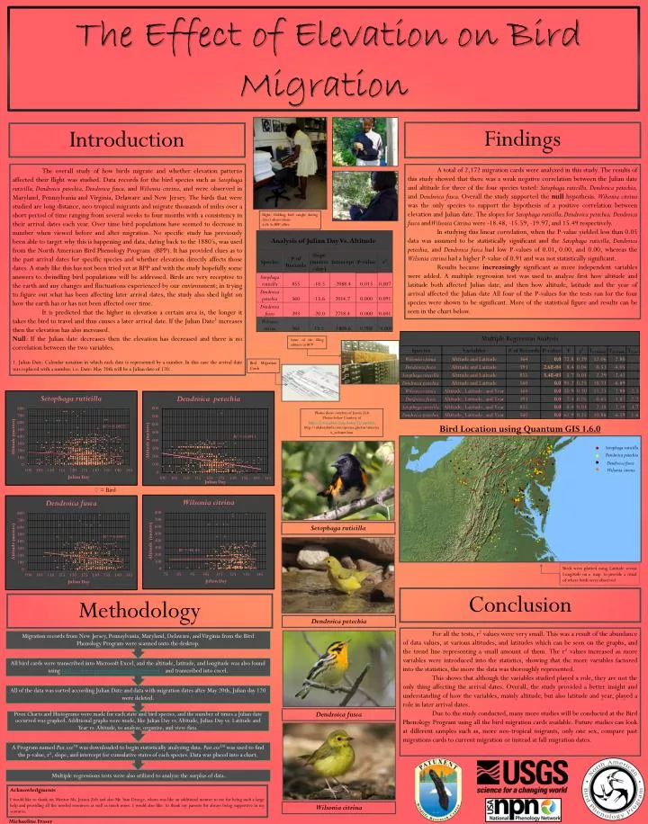 the effect of elevation on bird migration