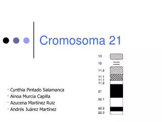 cromosoma 21