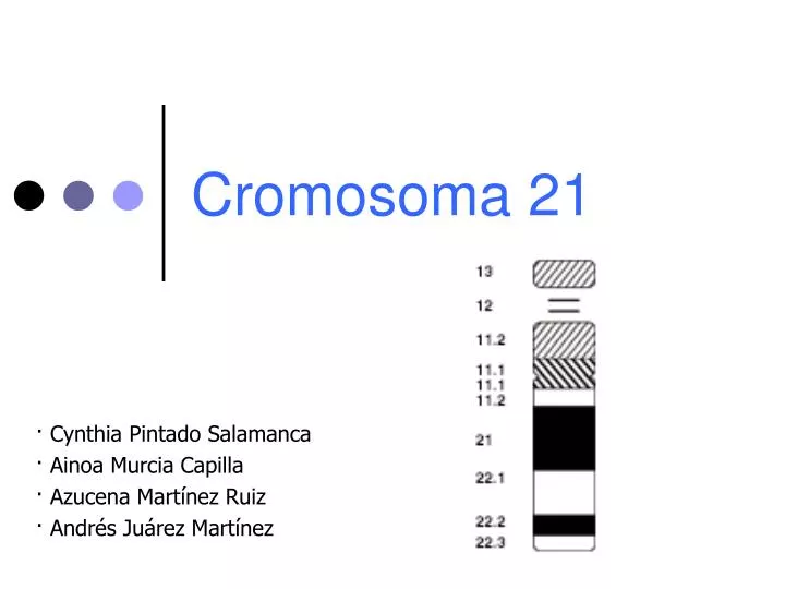 cromosoma 21