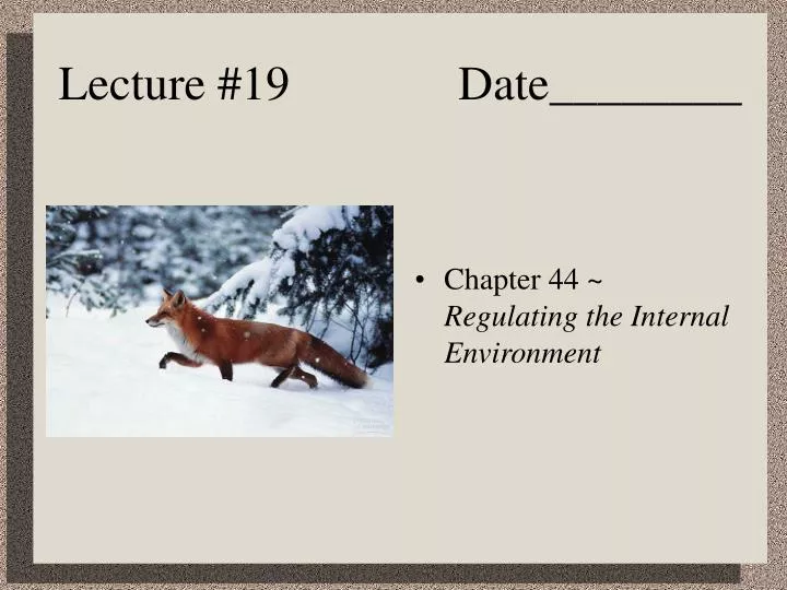 lecture 19 date