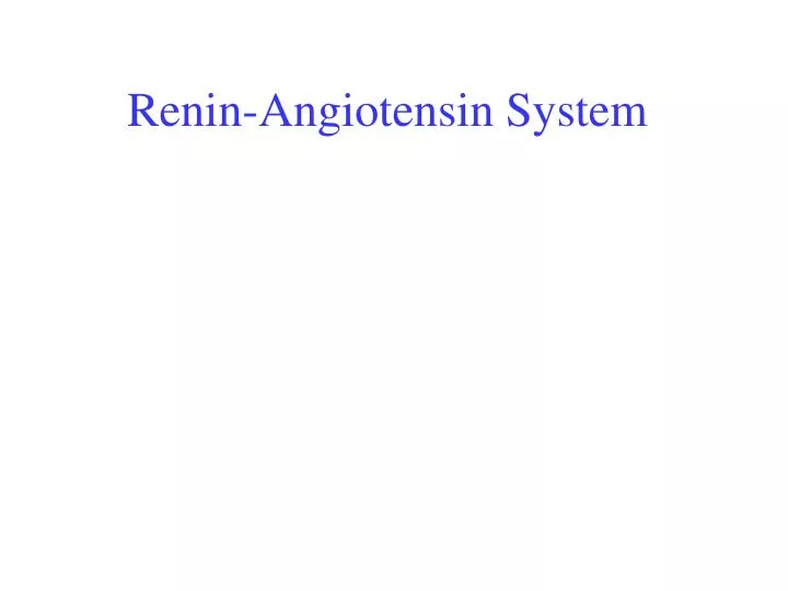 renin angiotensin system