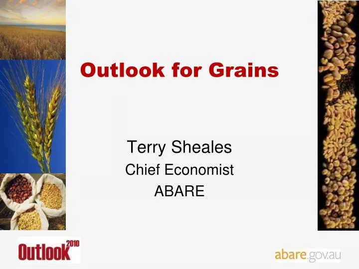 outlook for grains