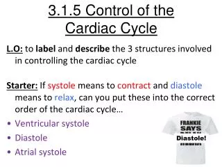 3.1.5 Control of the Cardiac Cycle