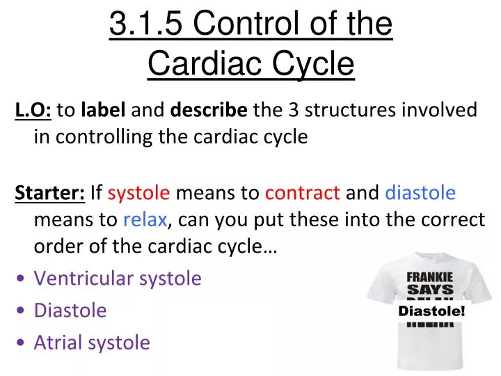 3 1 5 control of the cardiac cycle