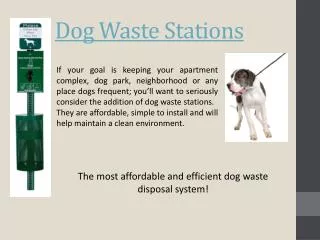 Professional Quality Dog Waste Station
