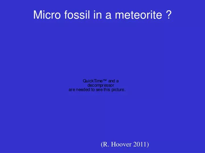 micro fossil in a meteorite