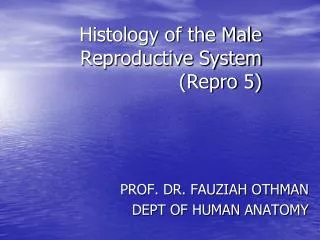 Histology of the Male Reproductive System (Repro 5)