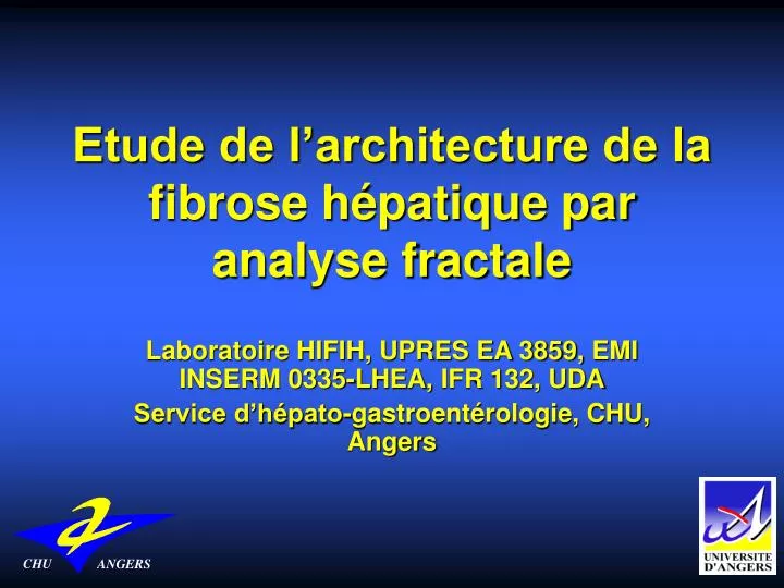 etude de l architecture de la fibrose h patique par analyse fractale