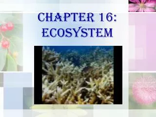 Chapter 16: ECOSYSTEM