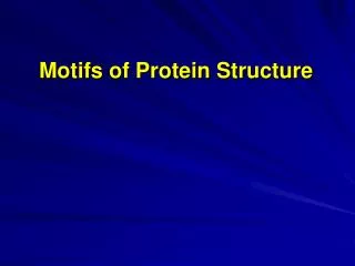 Motifs of Protein Structure