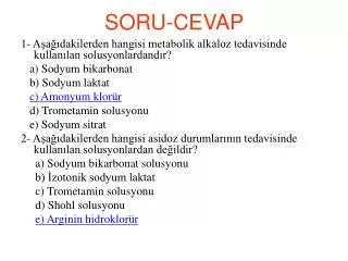 soru cevap