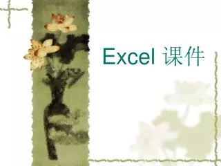 excel