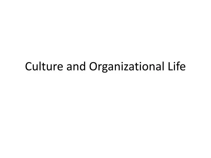 culture and organizational life