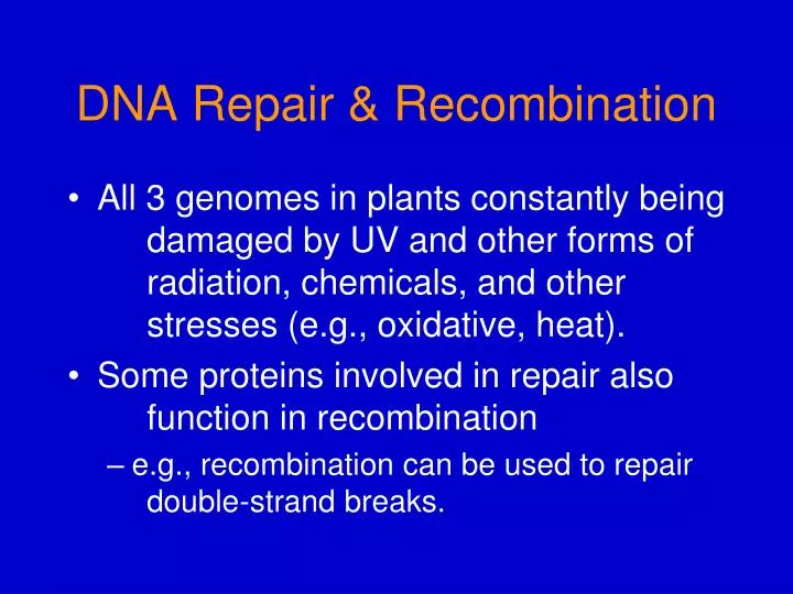 dna repair recombination