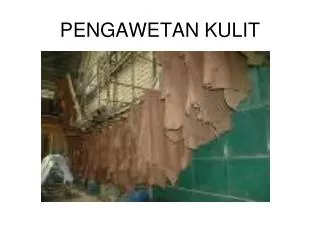 pengawetan kulit