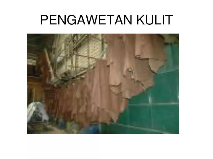 pengawetan kulit