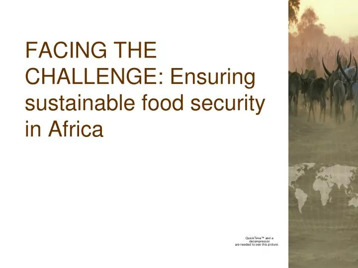 facing the challenge ensuring sustainable food security in africa