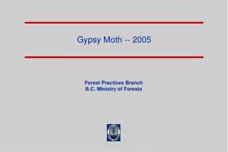 Gypsy Moth -- 2005