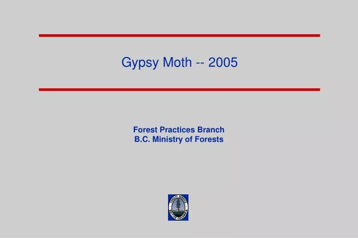 gypsy moth 2005