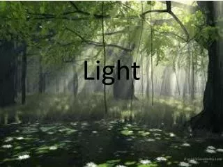 Light