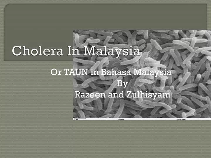cholera in malaysia