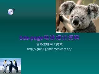 sds page