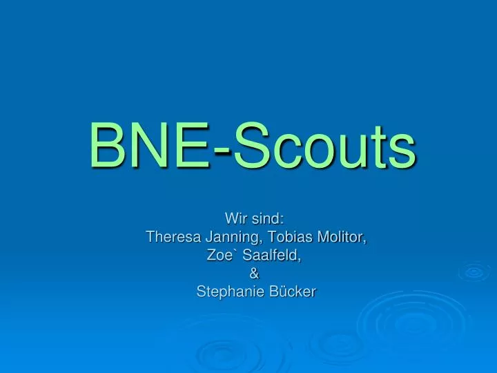 bne scouts