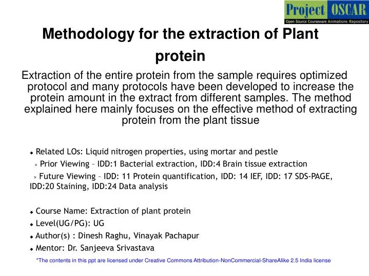 methodology for the extraction of plant protein