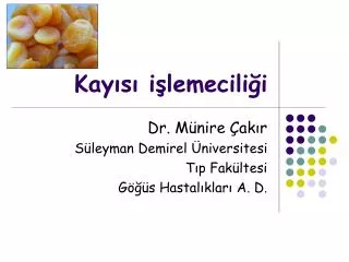kay s i lemecili i