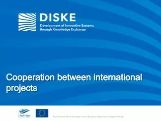 Cooperation between international projects