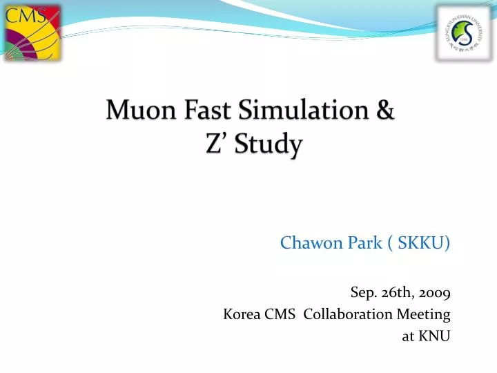 muon fast simulation z study