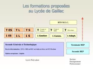 les formations propos es au lyc e de gaillac