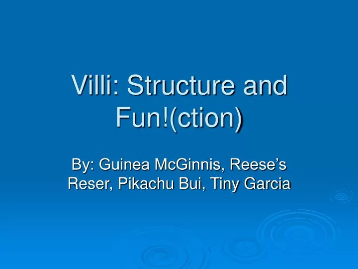 villi structure and fun ction