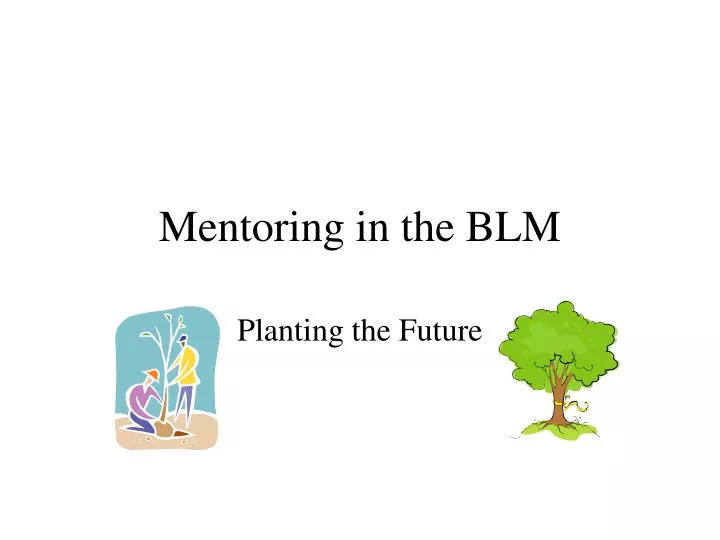 mentoring in the blm