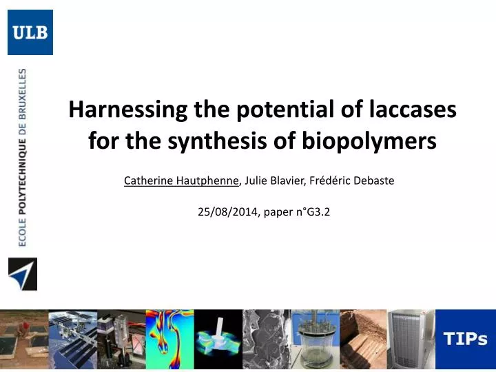 harnessing the potential of laccases for the synthesis of biopolymers