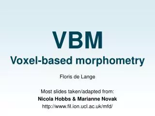 VBM Voxel-based morphometry