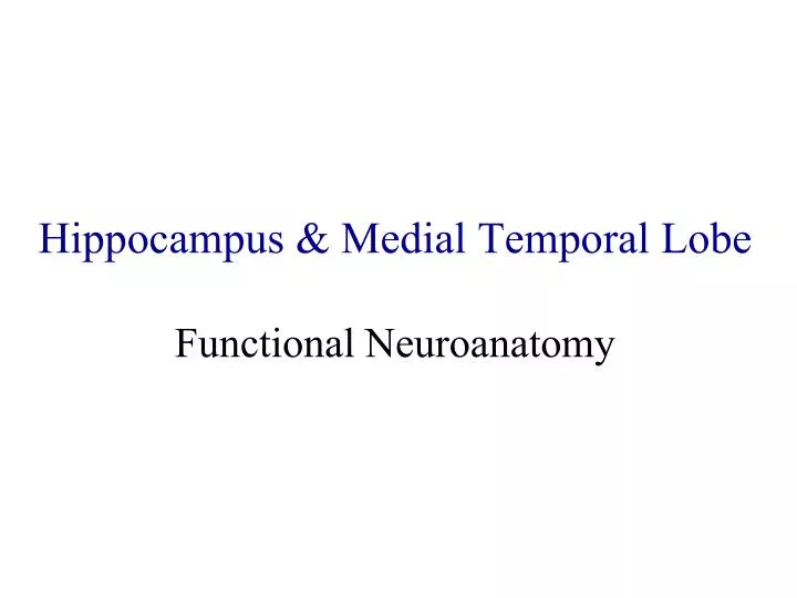 hippocampus medial temporal lobe functional neuroanatomy