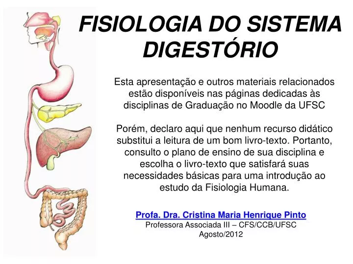 PPT - FISIOLOGIA DO SISTEMA DIGESTÓRIO PowerPoint Presentation