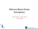 Mercury Beam Dump Simulations - slide 1