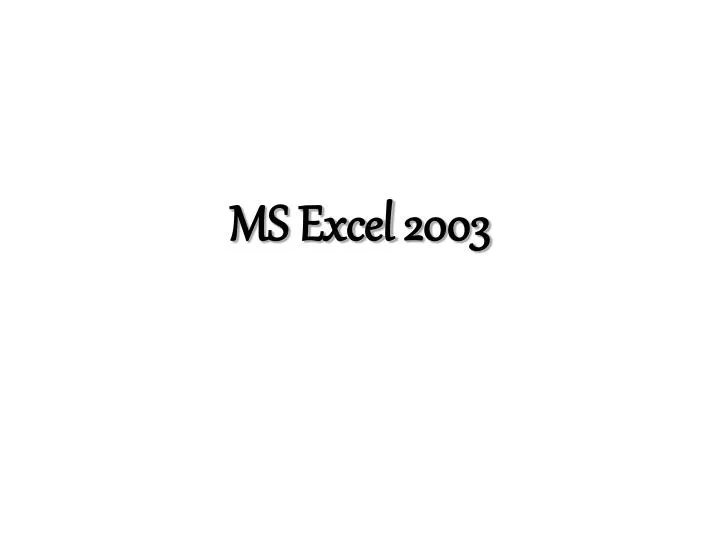ms excel 2003