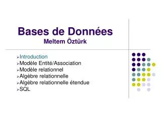 bases de donn es meltem zt rk