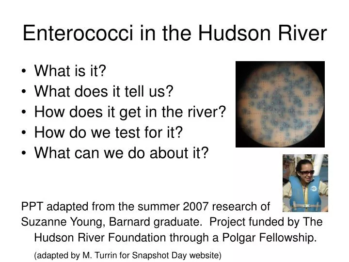 enterococci in the hudson river