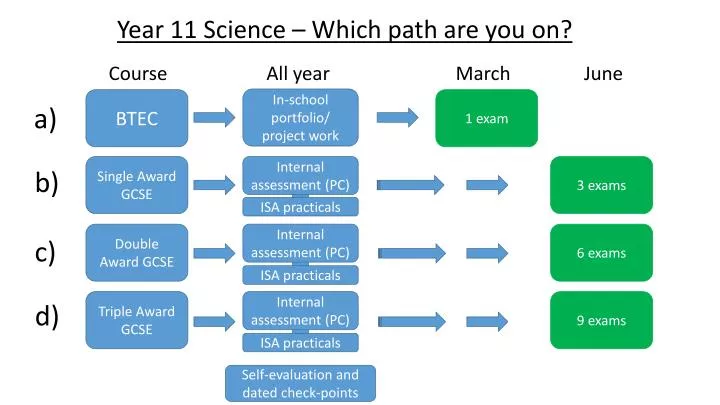 year 11 science which path are you on